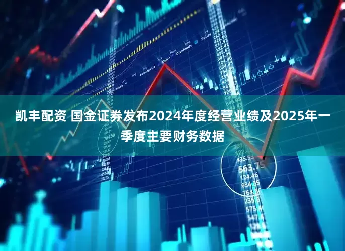 凯丰配资 国金证券发布2024年度经营业绩及2025年一季度主要财务数据