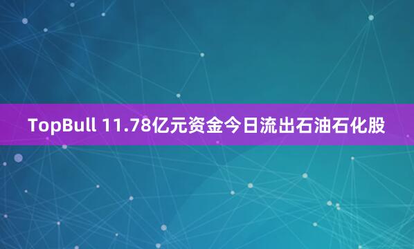 TopBull 11.78亿元资金今日流出石油石化股